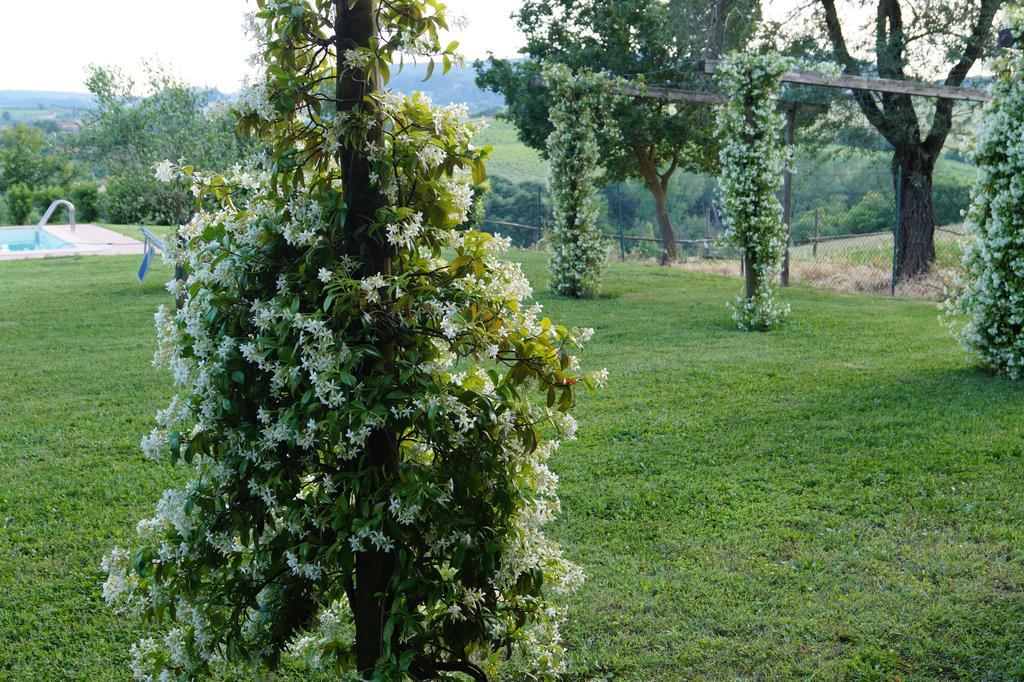 Tenuta Di Argiano A Montepulciano تْشيانشانو  تيرمي المظهر الخارجي الصورة